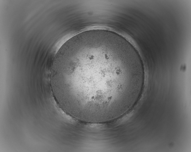 X0000111940953200907271410