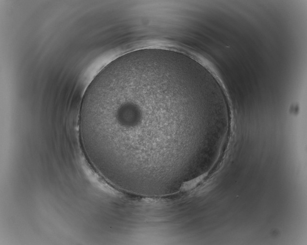 X0000111940954200907271410