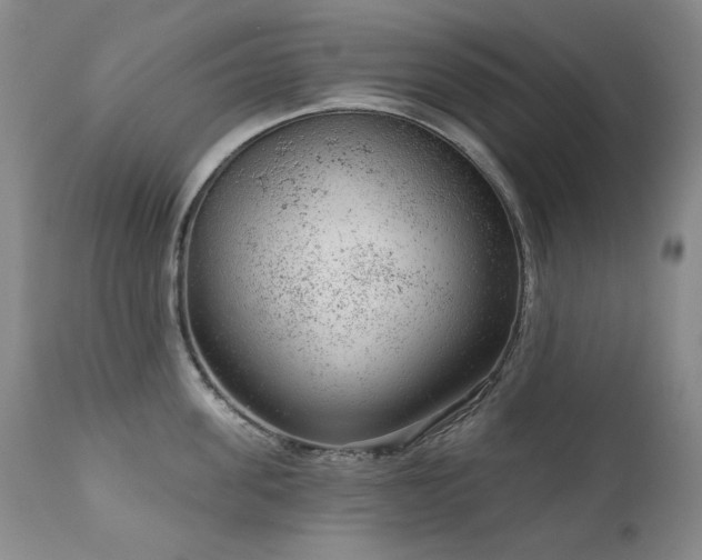 X0000111940955200907271410