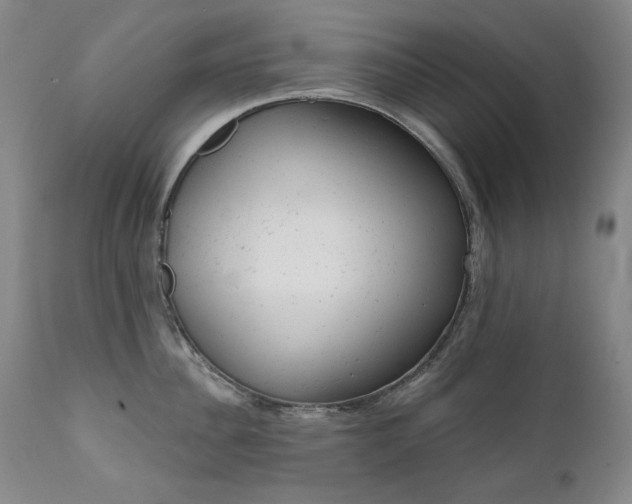 X0000111940956200907271410