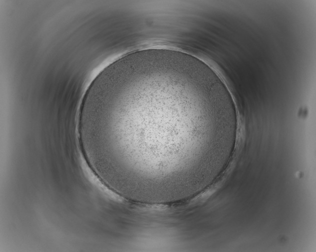 X0000111940957200907271410