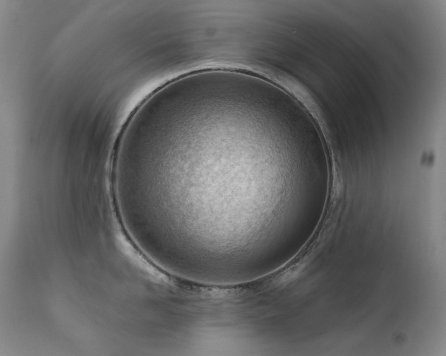 X0000111940958200907271410