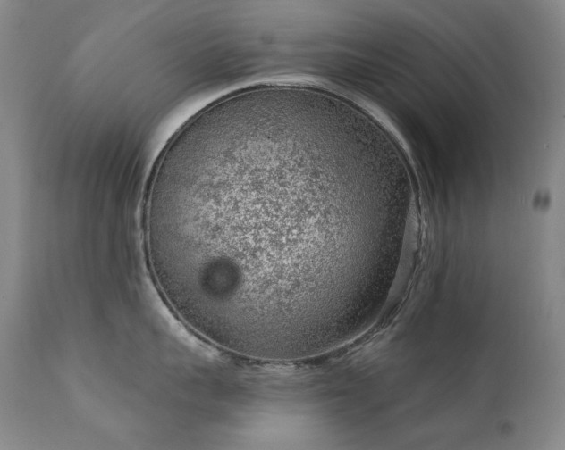 X0000111940959200907271410