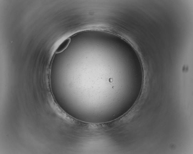 X0000111940960200907271410