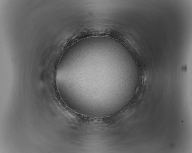 X0000111940961200907271409