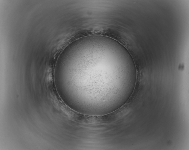 X0000111940962200907271409