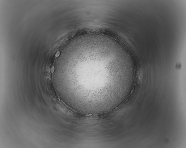 X0000111940964200907271409