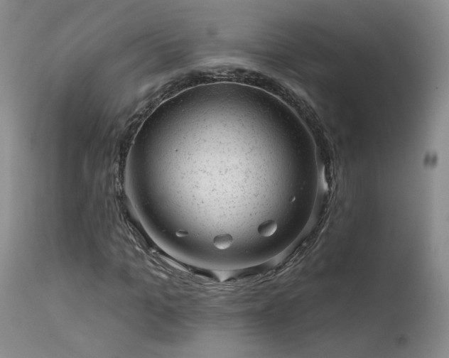 X0000111940965200907271409