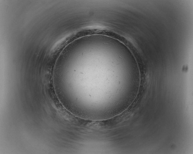 X0000111940967200907271409