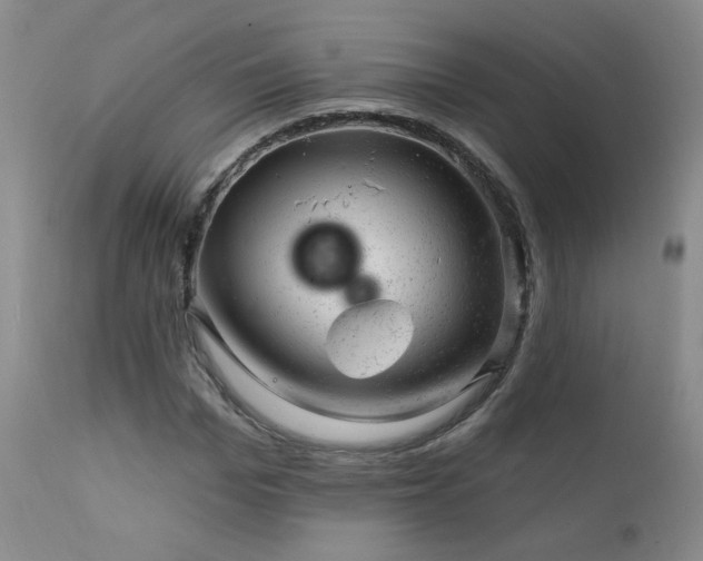 X0000111940969200907271409