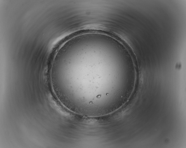 X0000111940971200907271409