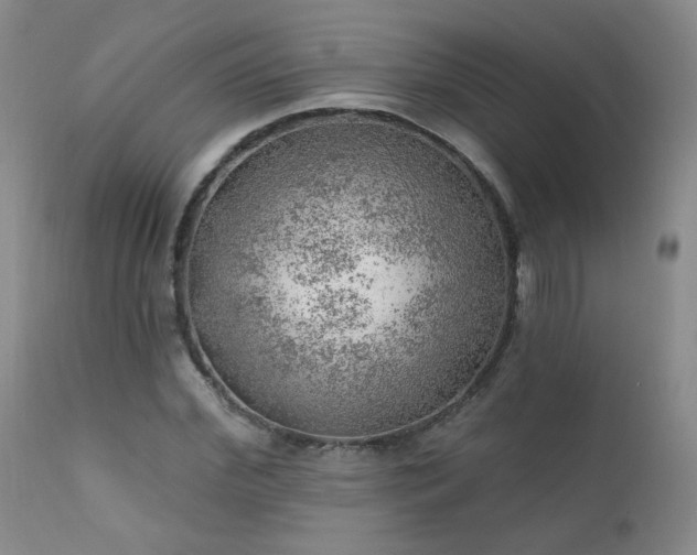 X0000111940972200907271409