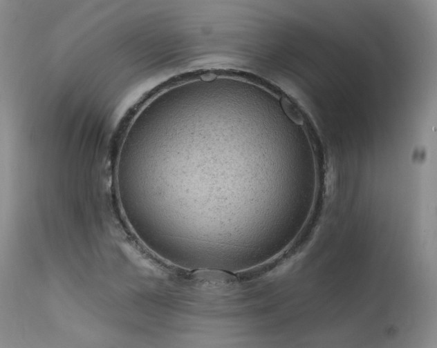 X0000111940973200907271409