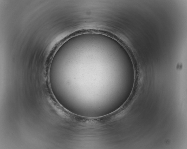 X0000111940974200907271409