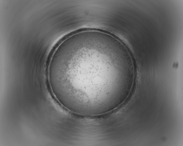 X0000111940976200907271409