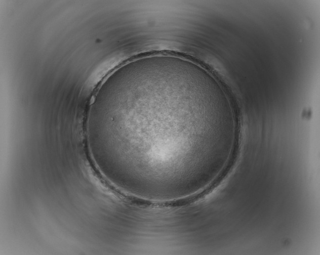 X0000111940977200907271409