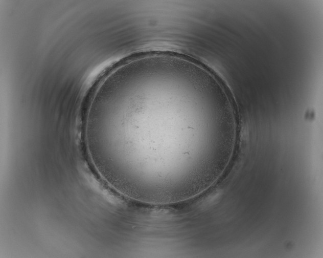 X0000111940979200907271409