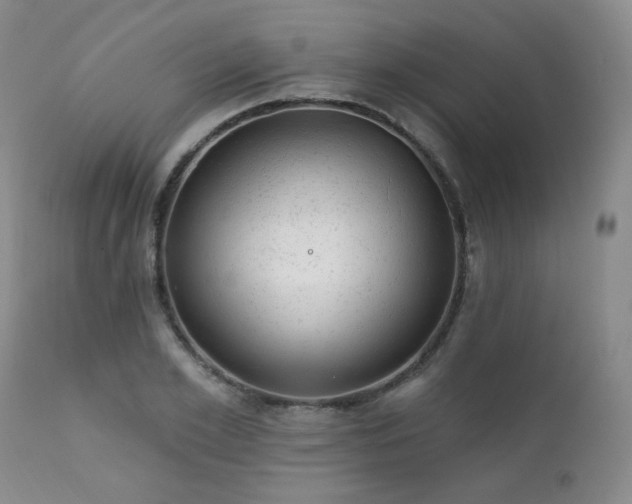 X0000111940981200907271409