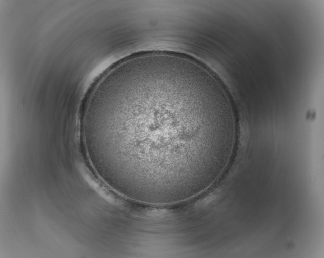 X0000111940982200907271409