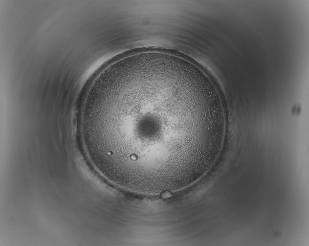 X0000111940983200907271409