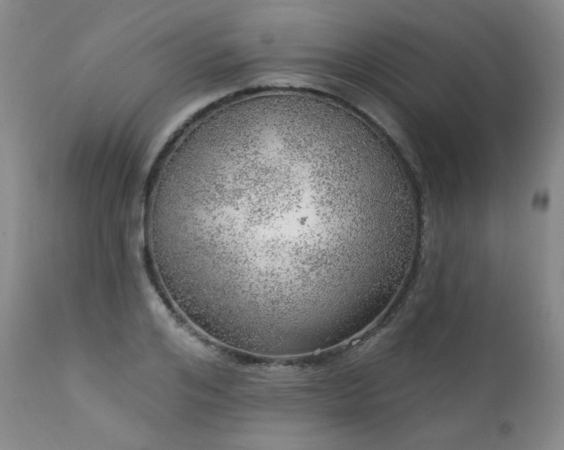 X0000111940984200907271409