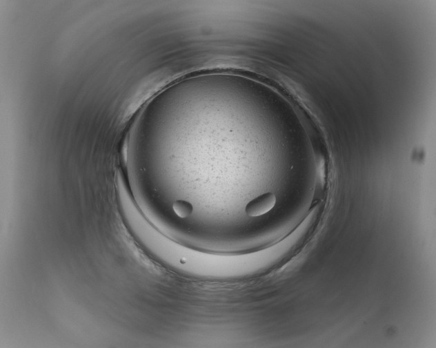 X0000111940985200907271409