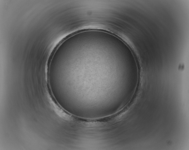 X0000111940988200907271409