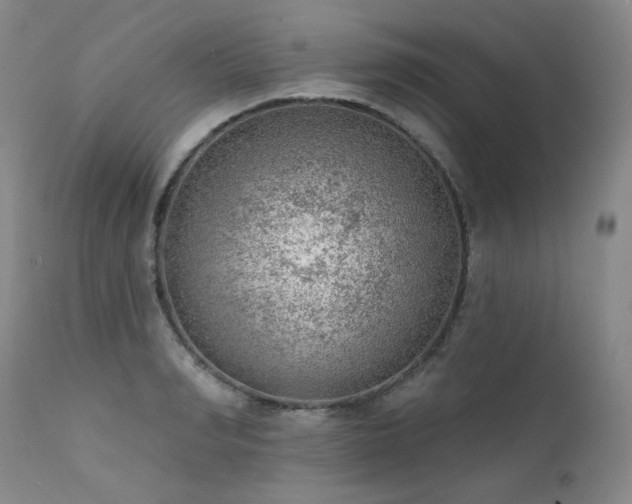 X0000111940990200907271409