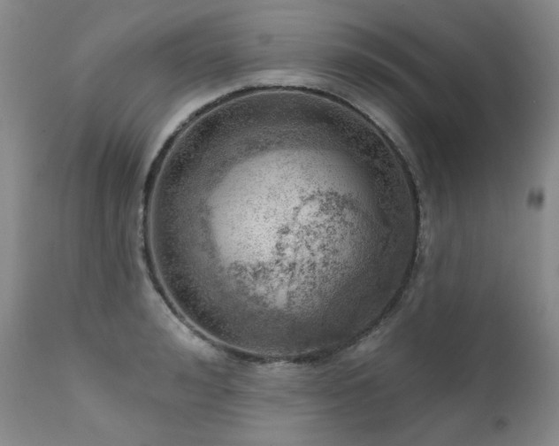 X0000111940992200907271409