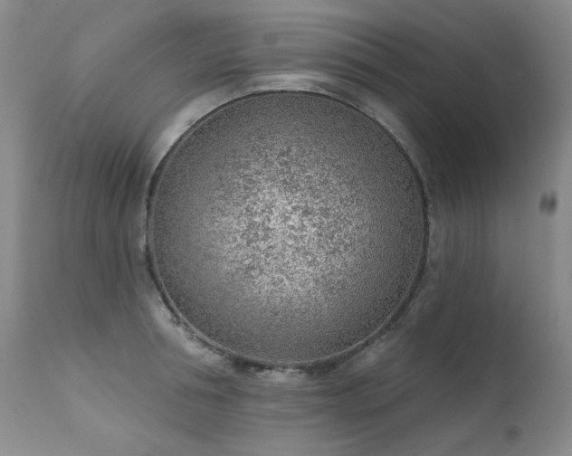 X0000111940994200907271409