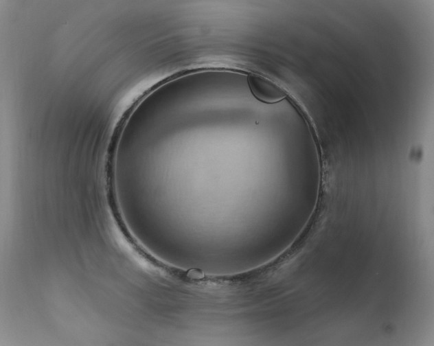 X0000111940995200907271409