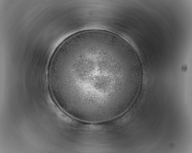 X0000111940996200907271409