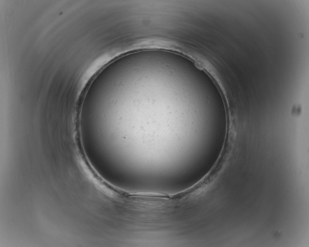 X0000111940997200907271409