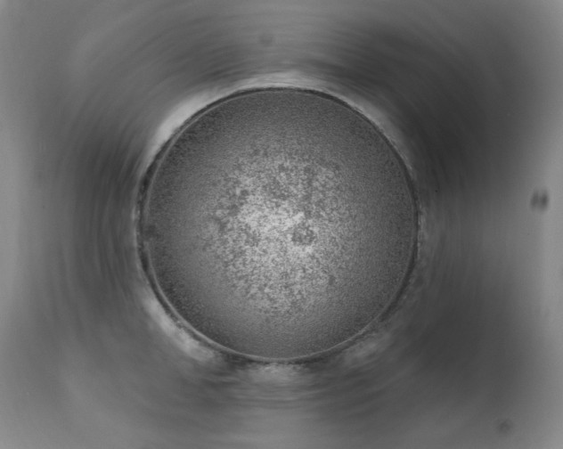 X0000111940998200907271409