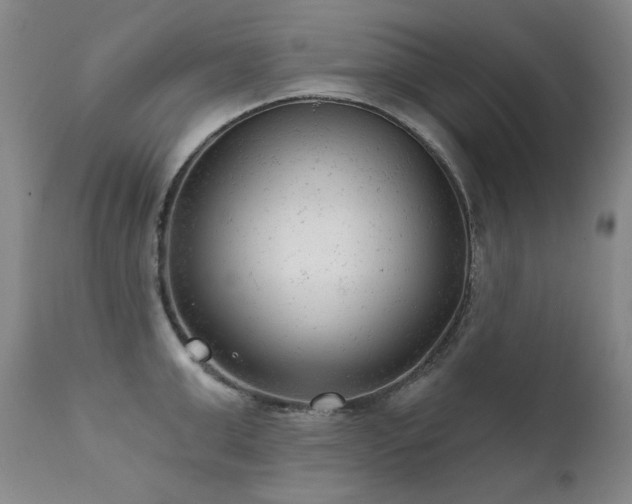 X0000111940999200907271409