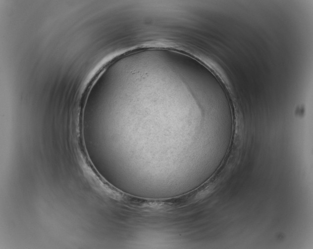 X0000111941000200907271409