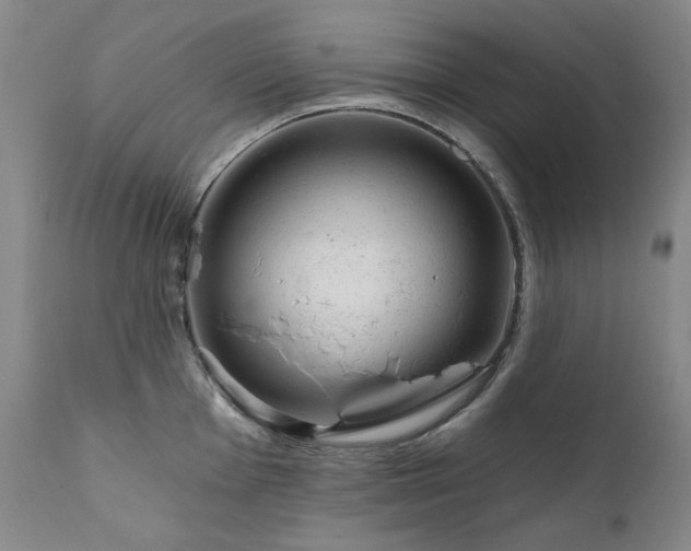 X0000111941001200907271409