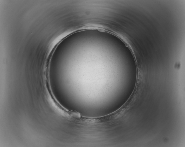 X0000111941003200907271409