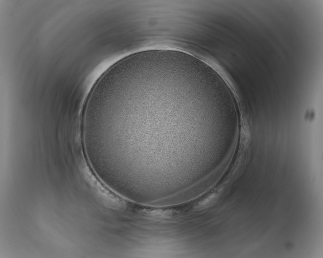 X0000111941004200907271409