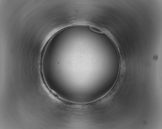 X0000111941005200907271409