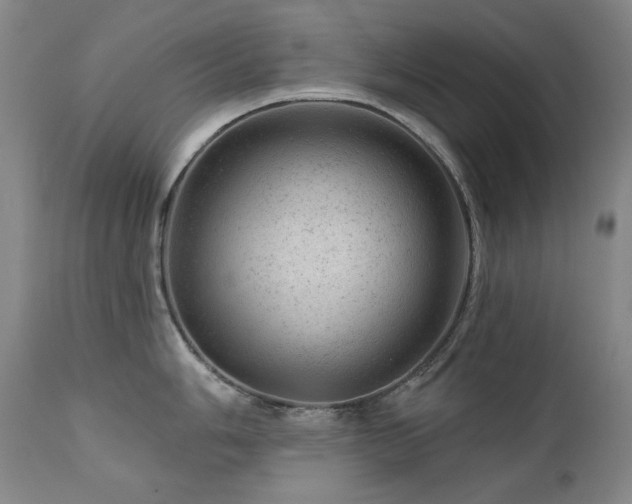 X0000111941006200907271409