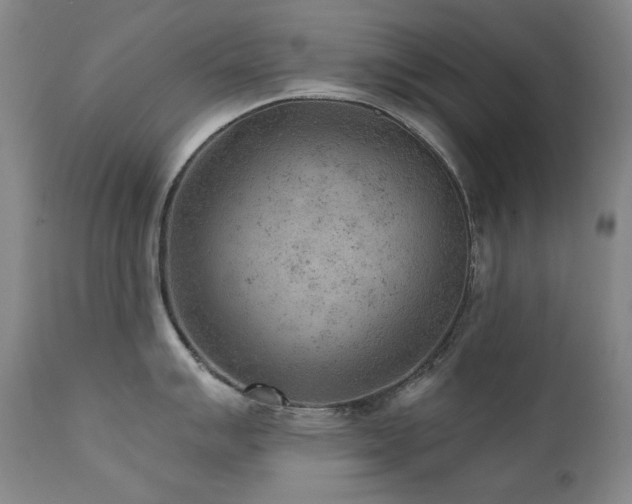 X0000111941007200907271409