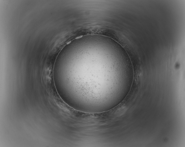 X0000111941010200907271408