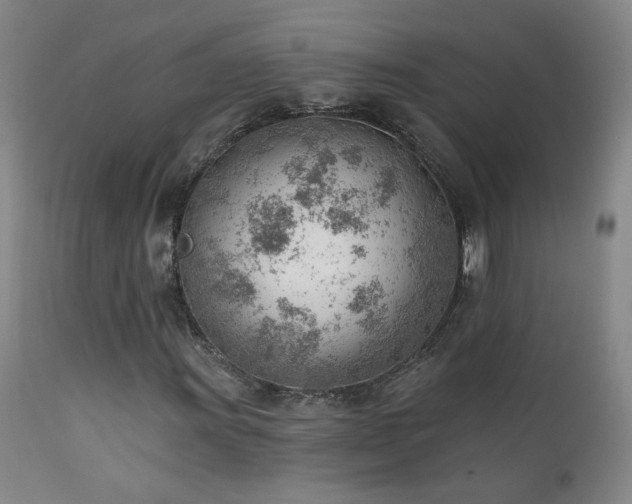 X0000111941011200907271408