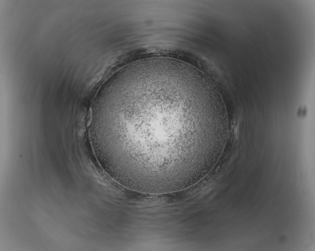 X0000111941012200907271408