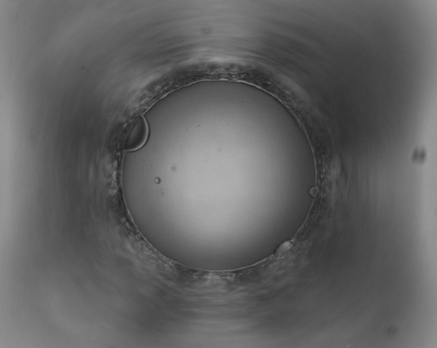 X0000111941013200907271408