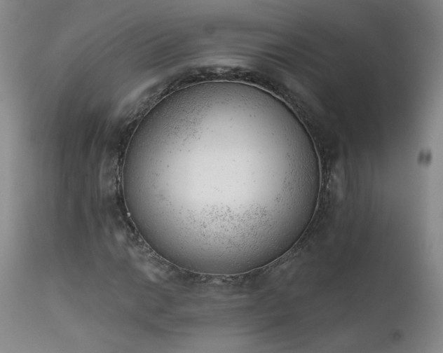 X0000111941014200907271408