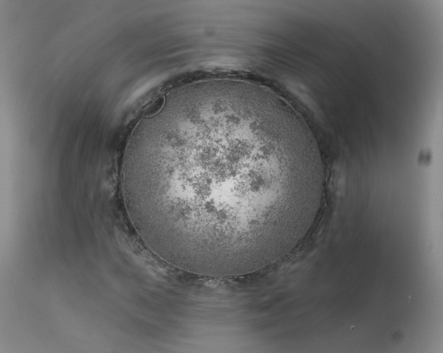 X0000111941015200907271408