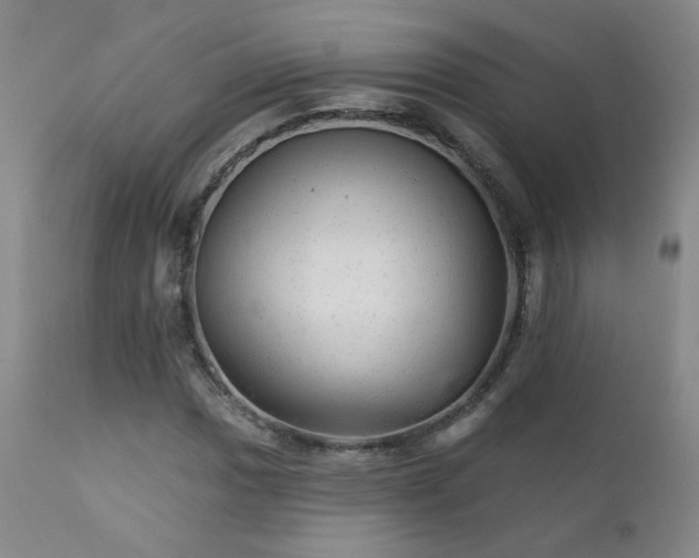 X0000111941017200907271408