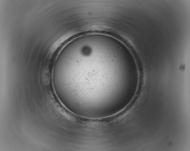 X0000111941018200907271408